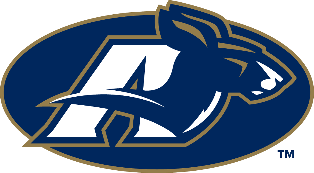 Akron Zips 2002-Pres Alternate Logo v5 diy DTF decal sticker